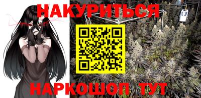 прущие грибы Кингисепп