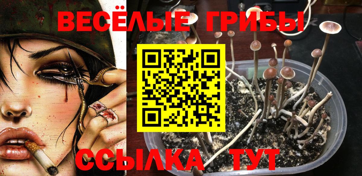 Лабытнанги  Псилоцибиновые грибы Magic Shrooms  где можно купить   Вход с VPN 
